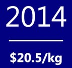 Polysilicon spot price average in 2014: $20.5/kg