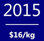 Polysilicon spot price average in 2015: $16/kg