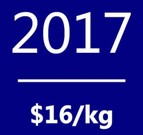 Polysilicon spot price average in 2017: $16/kg